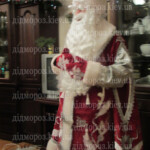 Дед Мороз домой 1