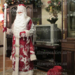 Дед Мороз на дом Киев 3